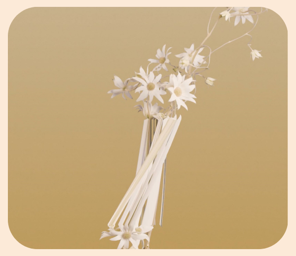 Mia Forrest - FLANNEL, STRAWFLOWER (2022) Image